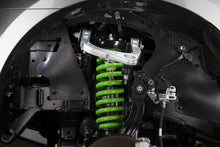 Load image into Gallery viewer, Front Coil Springs to Suit Ford Ranger and Mazda BT-50
